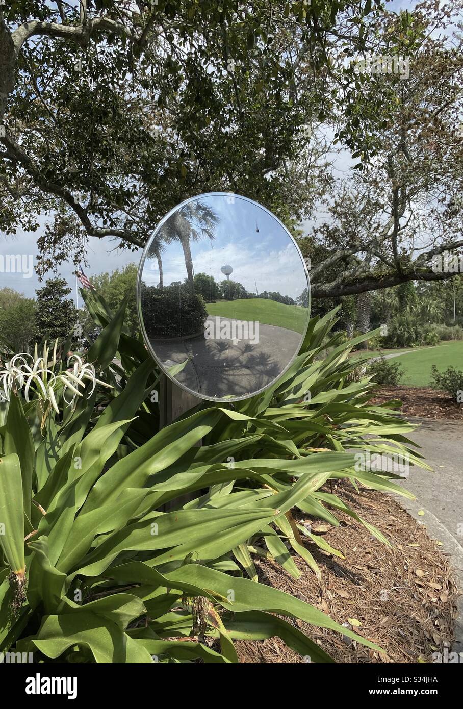 Reflections in an outdoor mirror on a biking path with tropical landscape - Smartphone Captured Stock Image