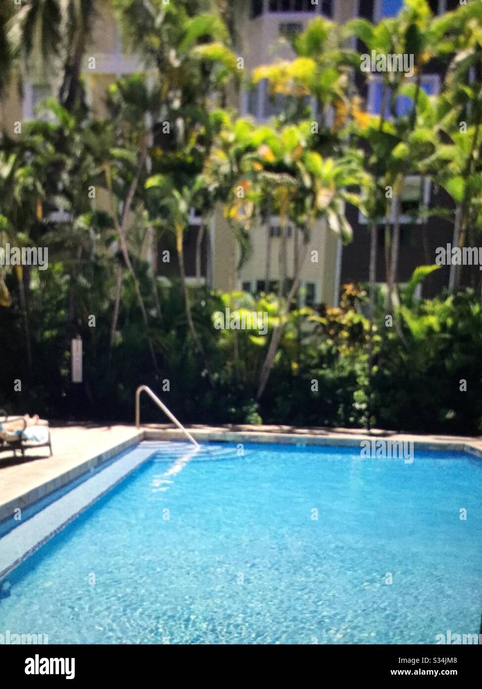 Own piece of heaven - Smartphone Captured Stock Image