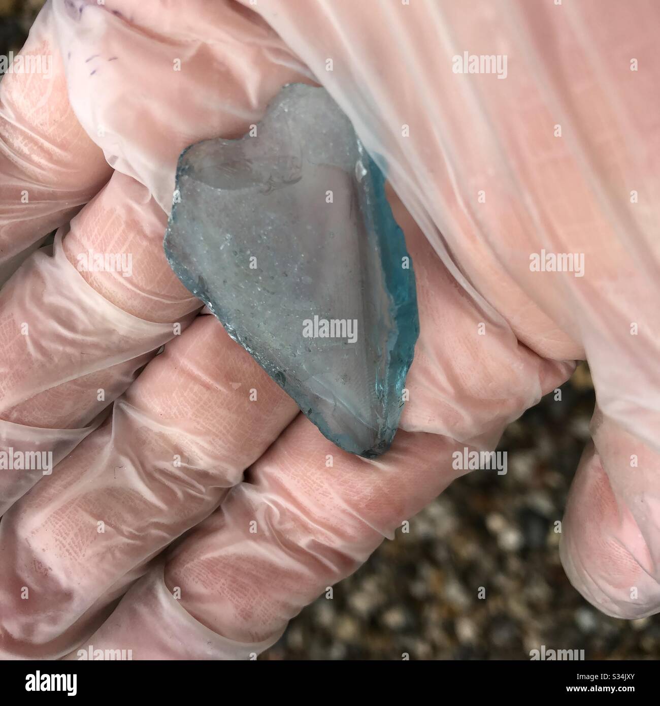 Blue glass shard found mudlarking Thames River london by Mudlark wearing protective gloves to protect against germs and dirt Stock Photo