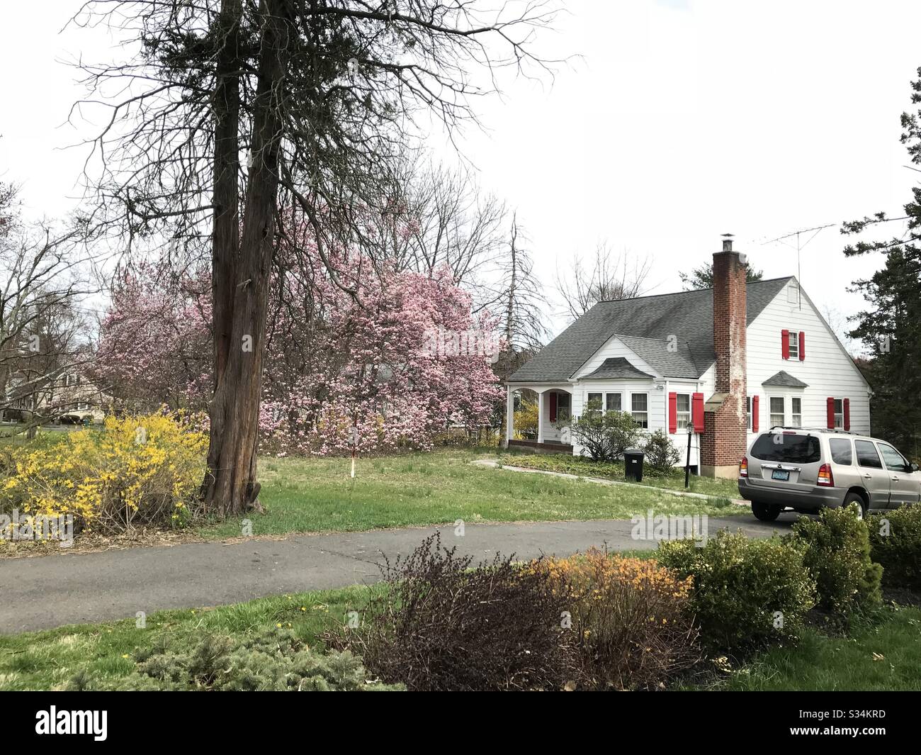 White suburban house and garden in bloom in the spring - Smartphone Captured Stock Image