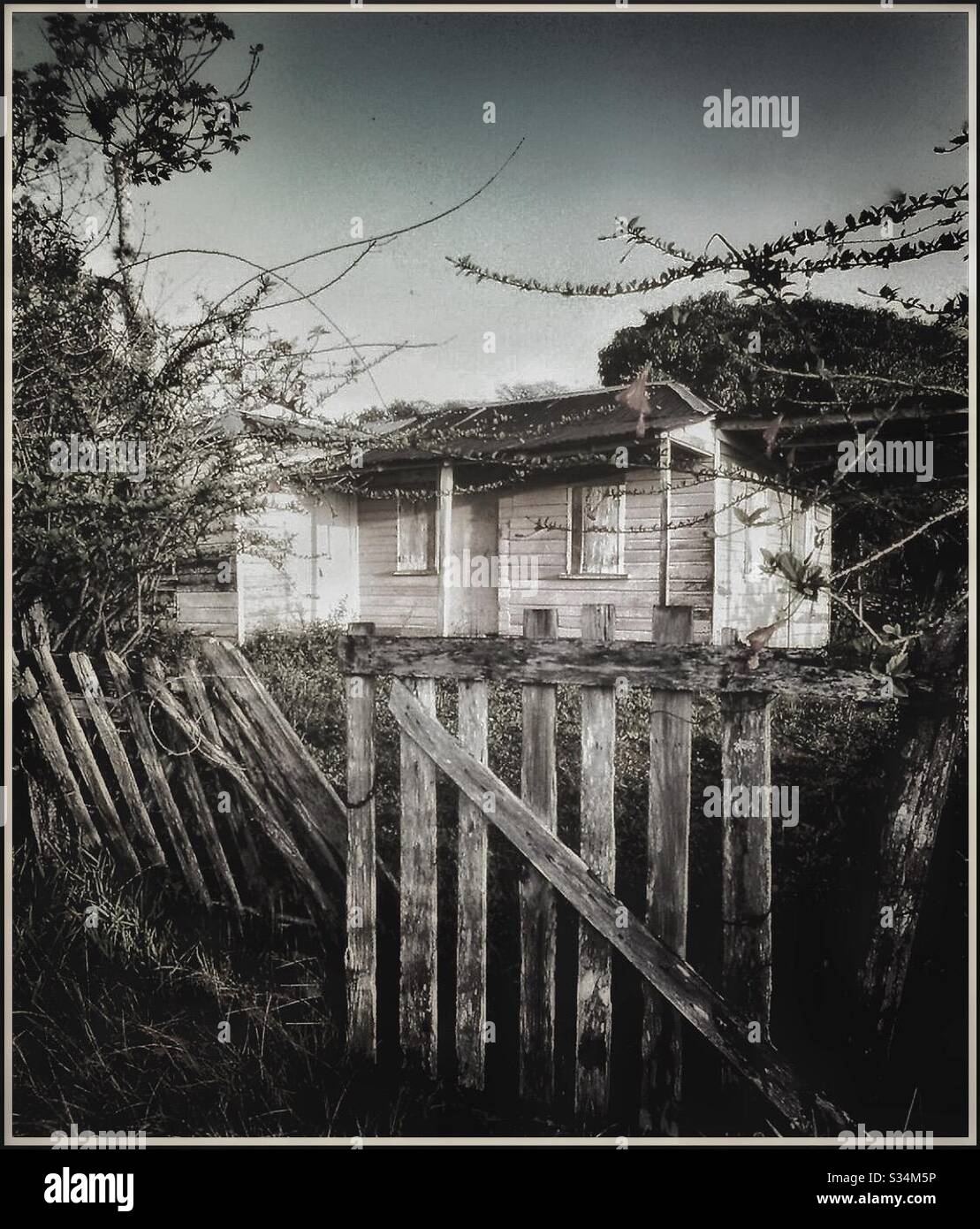 Abandoned wooden house in the Jamaican countryside. - Smartphone Captured Stock Image
