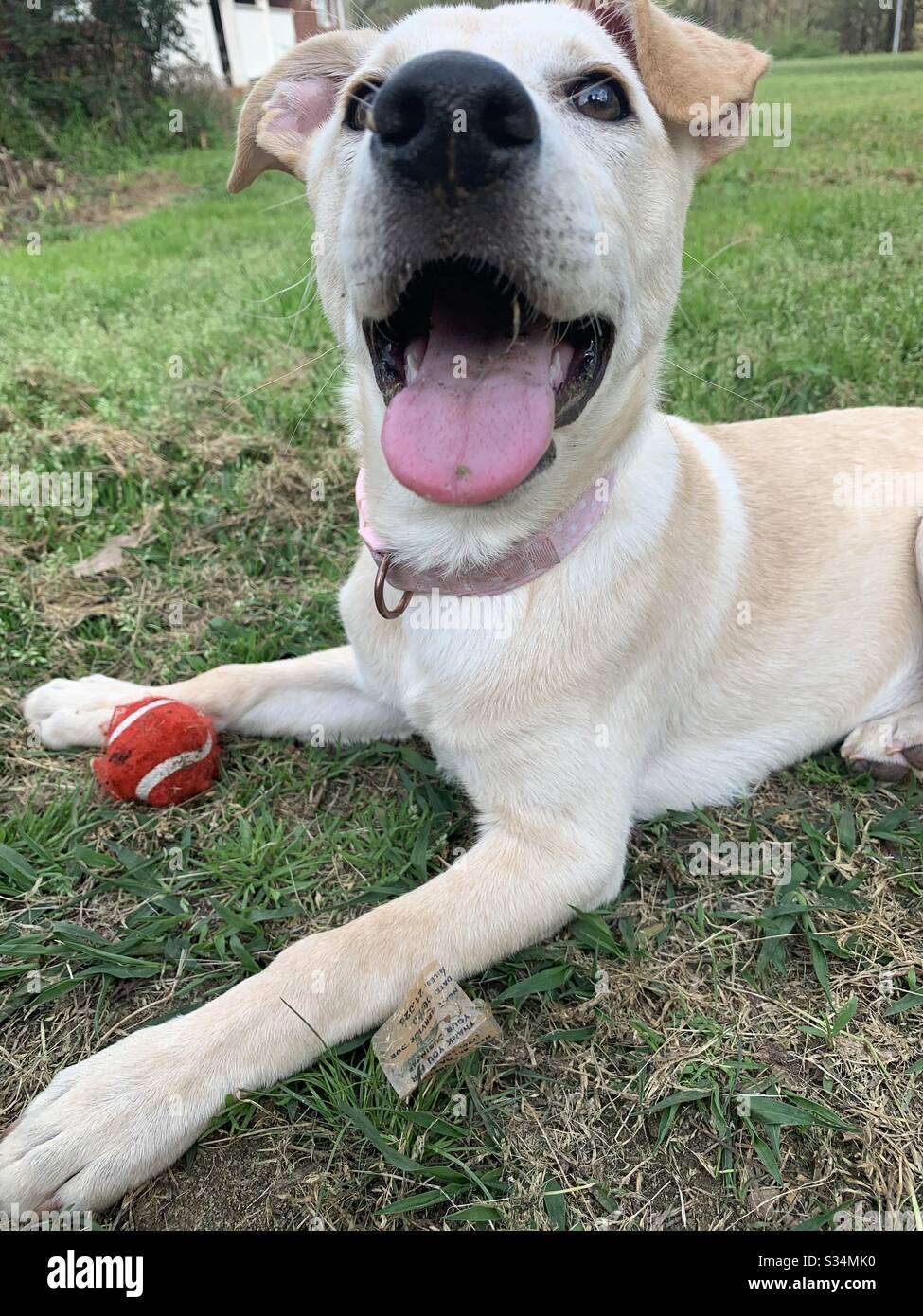 Big smiles hi-res stock photography and images - Alamy