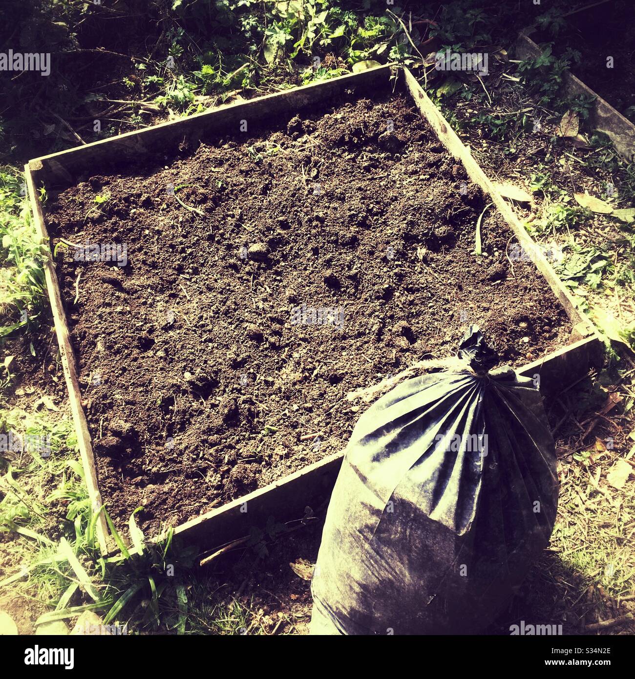 Raised vegetable bed, Hampshire, England, United Kingdom. - Smartphone Captured Stock Image
