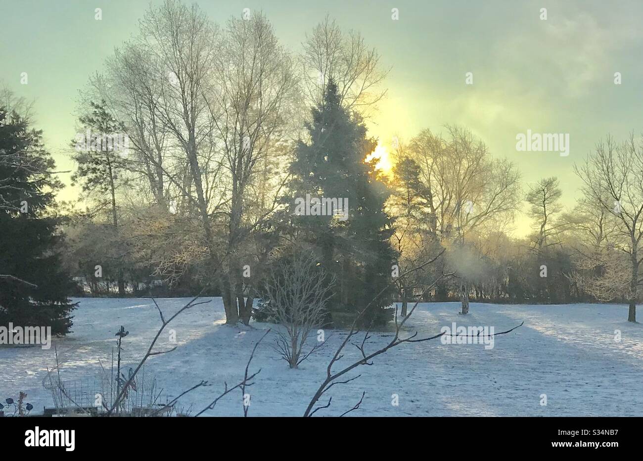 Frosty trees at sunrise Stock Photo
