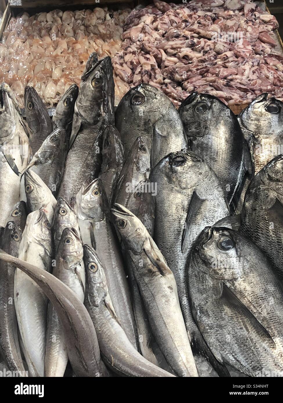 Mackerels on a fish market hires stock photography and images Alamy