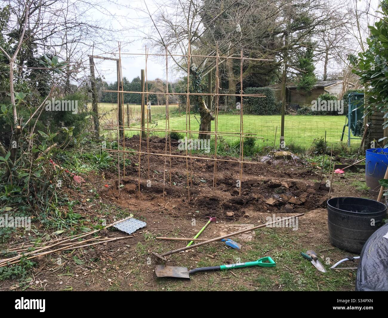 Vegetable garden patch. - Smartphone Captured Stock Image