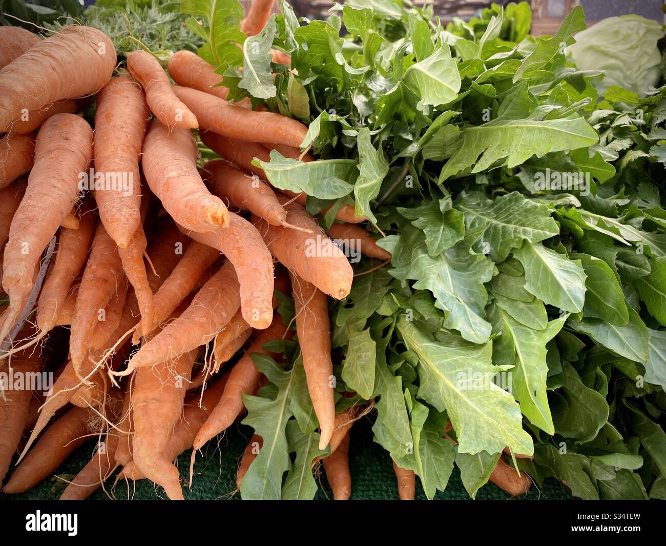 Fresh carrots and leafy greens on display, for sale at outdoor farmers' market in California - Smartphone Captured Stock Image