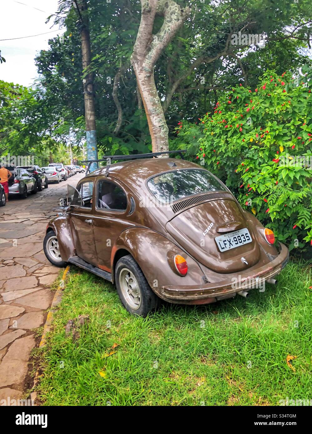 A brown vintage VW bug parked on the grass. - Smartphone Captured Stock Image