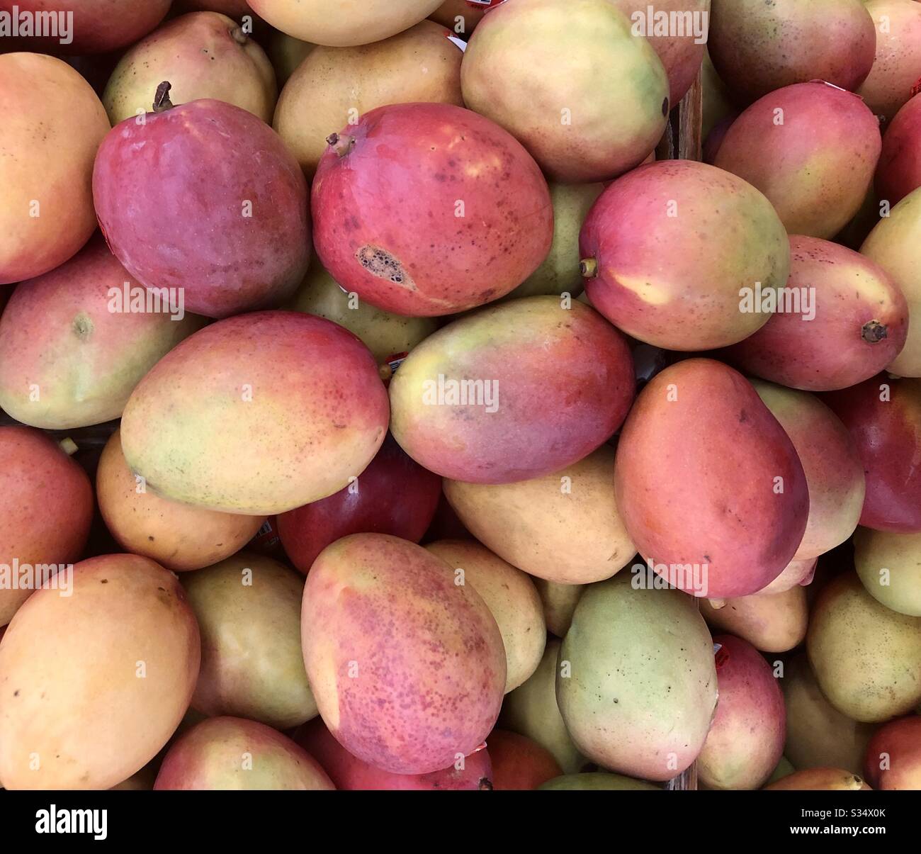 Red Mangos, store grouping, red, yellow, green colors, fruit, tasty, yellow inside, nutritional, healthy, plain, salsas, smoothies, other recipes, closeup Stock Photo