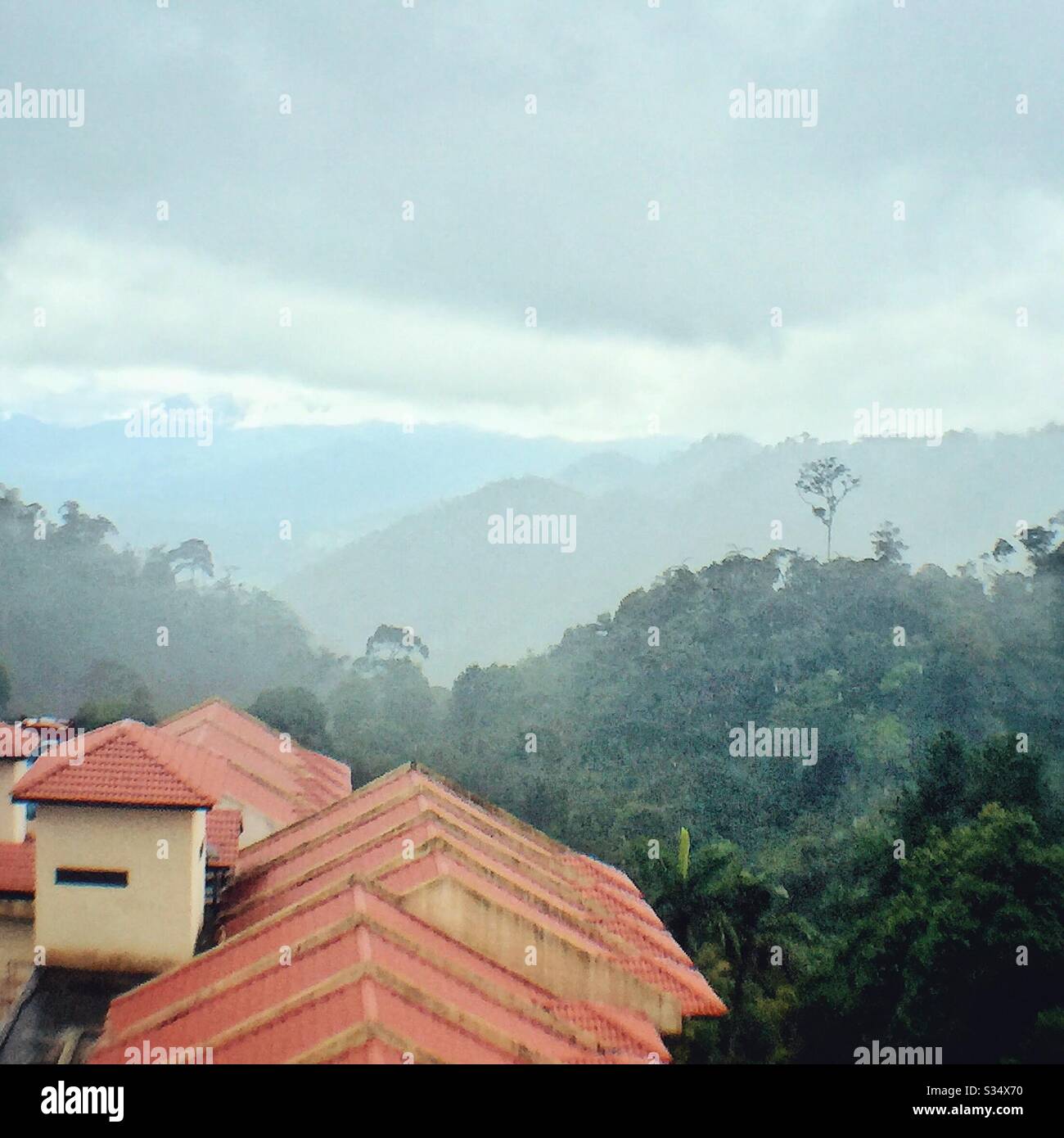 Nature reserve. - Smartphone Captured Stock Image