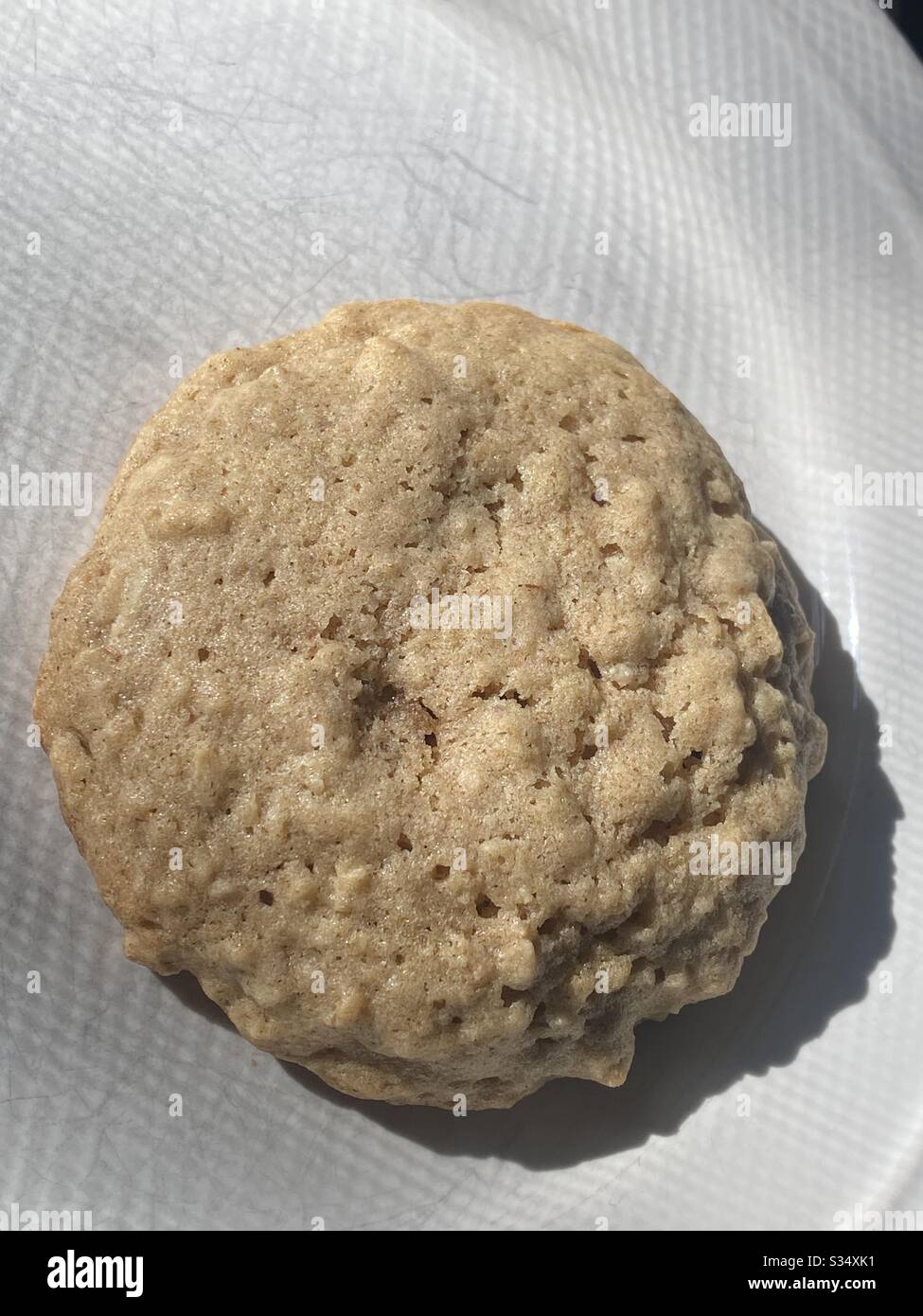 Single oatmeal cookie Stock Photo