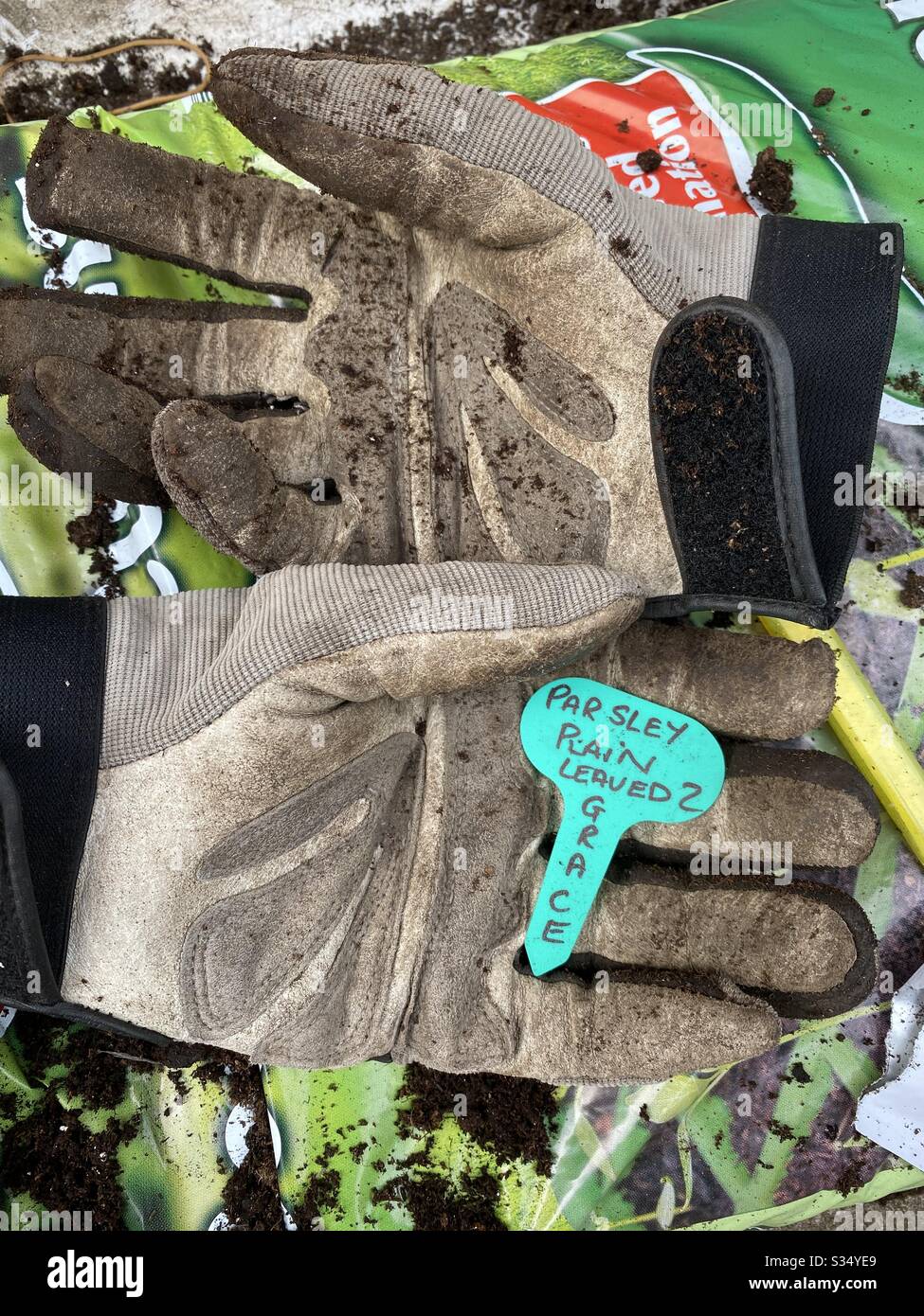 Handy Herb Gardener - Smartphone Captured Stock Image