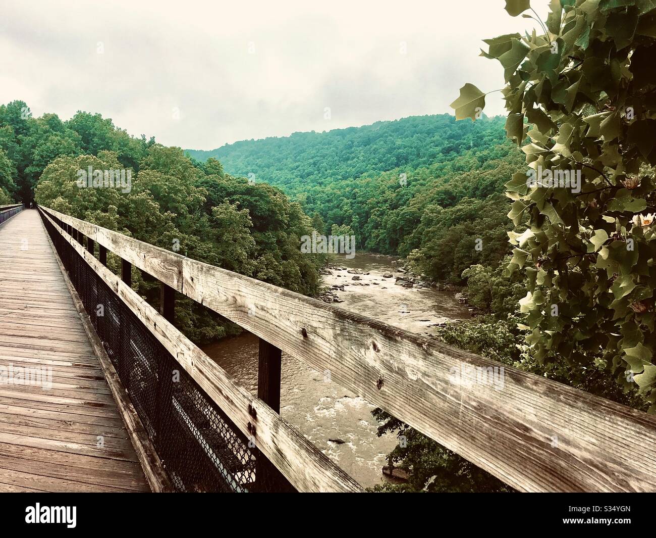 Great Allegheny passage outside Ohiopyle Stock Photo Alamy