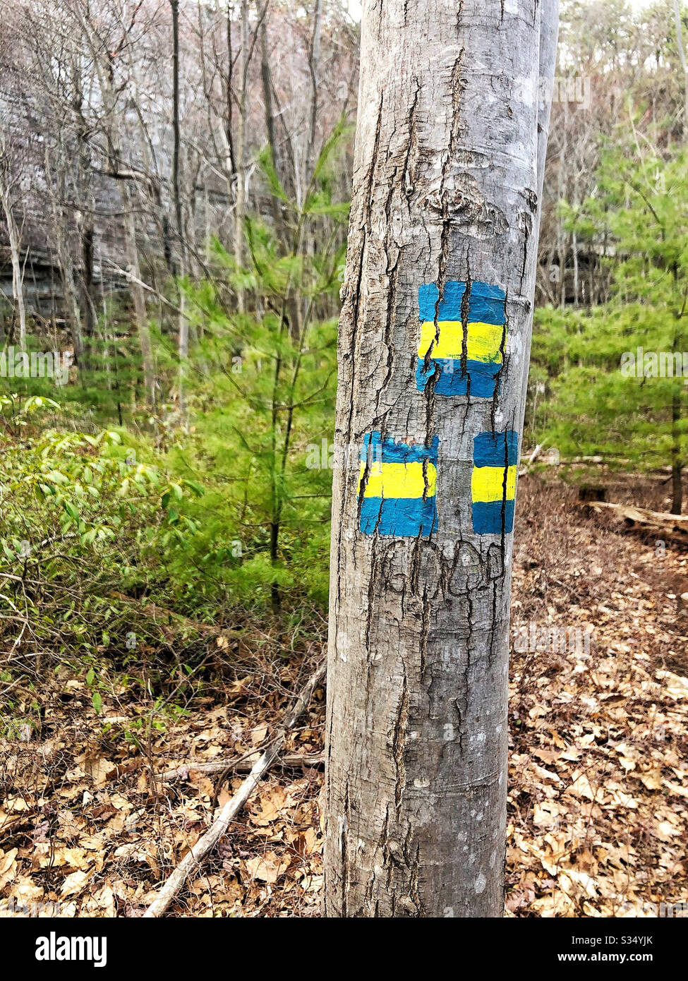 Blaze markers hires stock photography and images Alamy