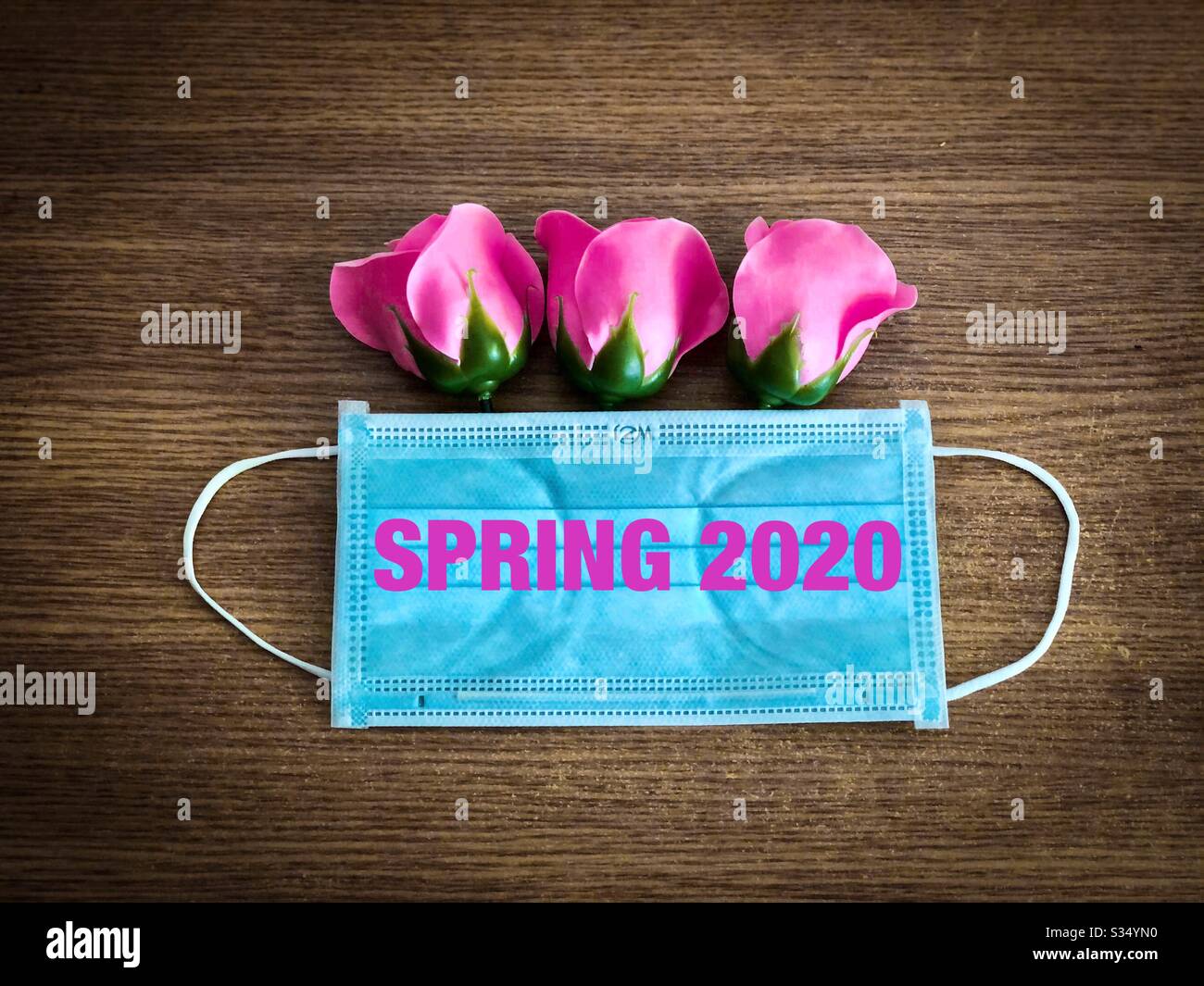 Pink roses coming out of a surgical mask - Spring time 2020 during Coronavirus pandemy - Smartphone Captured Stock Image