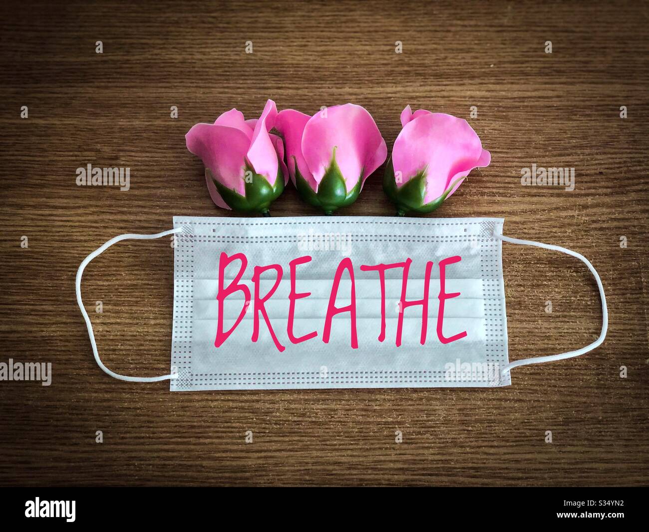 Pink roses coming out of a surgical mask - Spring time 2020 during Coronavirus pandemy - Smartphone Captured Stock Image