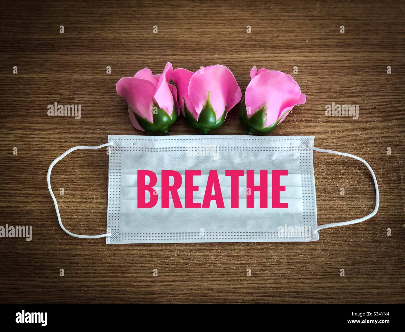 Pink roses coming out of a surgical mask - Spring time 2020 during Coronavirus pandemy - Smartphone Captured Stock Image