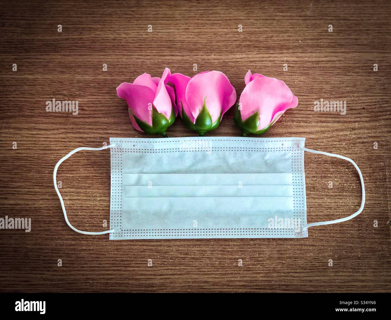 Pink roses coming out of a surgical mask - Spring time 2020 during Coronavirus pandemy - Smartphone Captured Stock Image