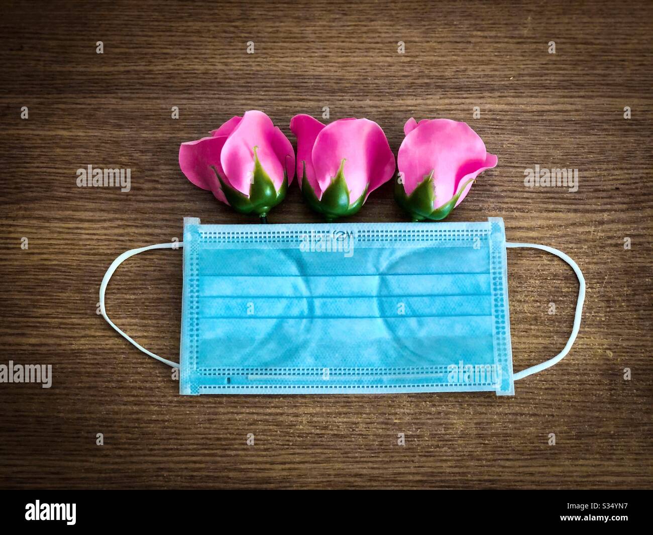 Pink roses coming out of a surgical mask - Spring time 2020 during Coronavirus pandemy - Smartphone Captured Stock Image