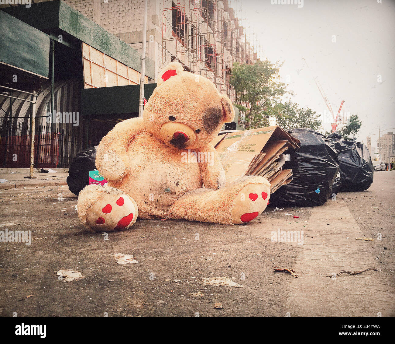 Large Dirty Teddy Bear Left in the Trash Stock Photo