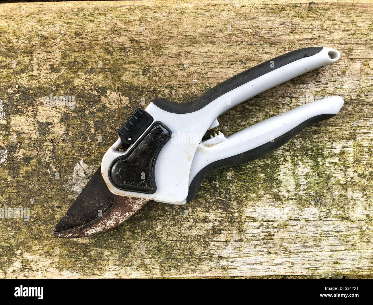 A pair of secateurs on an old, weathered wooden table. - Smartphone Captured Stock Image