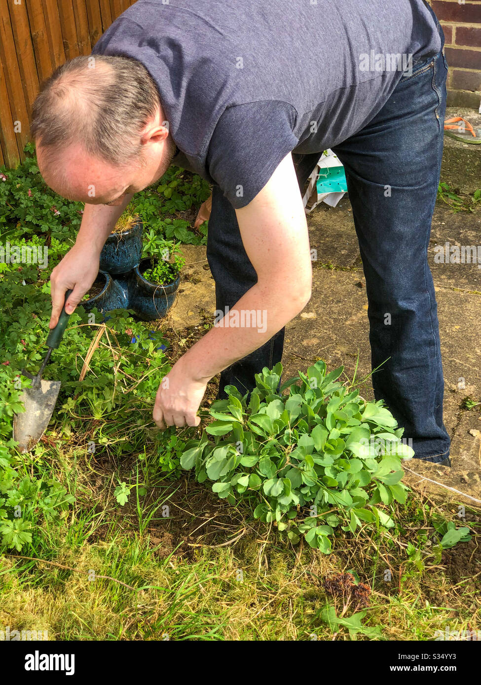 A middle aged man seeing, using a trowel in a garden. - Smartphone Captured Stock Image