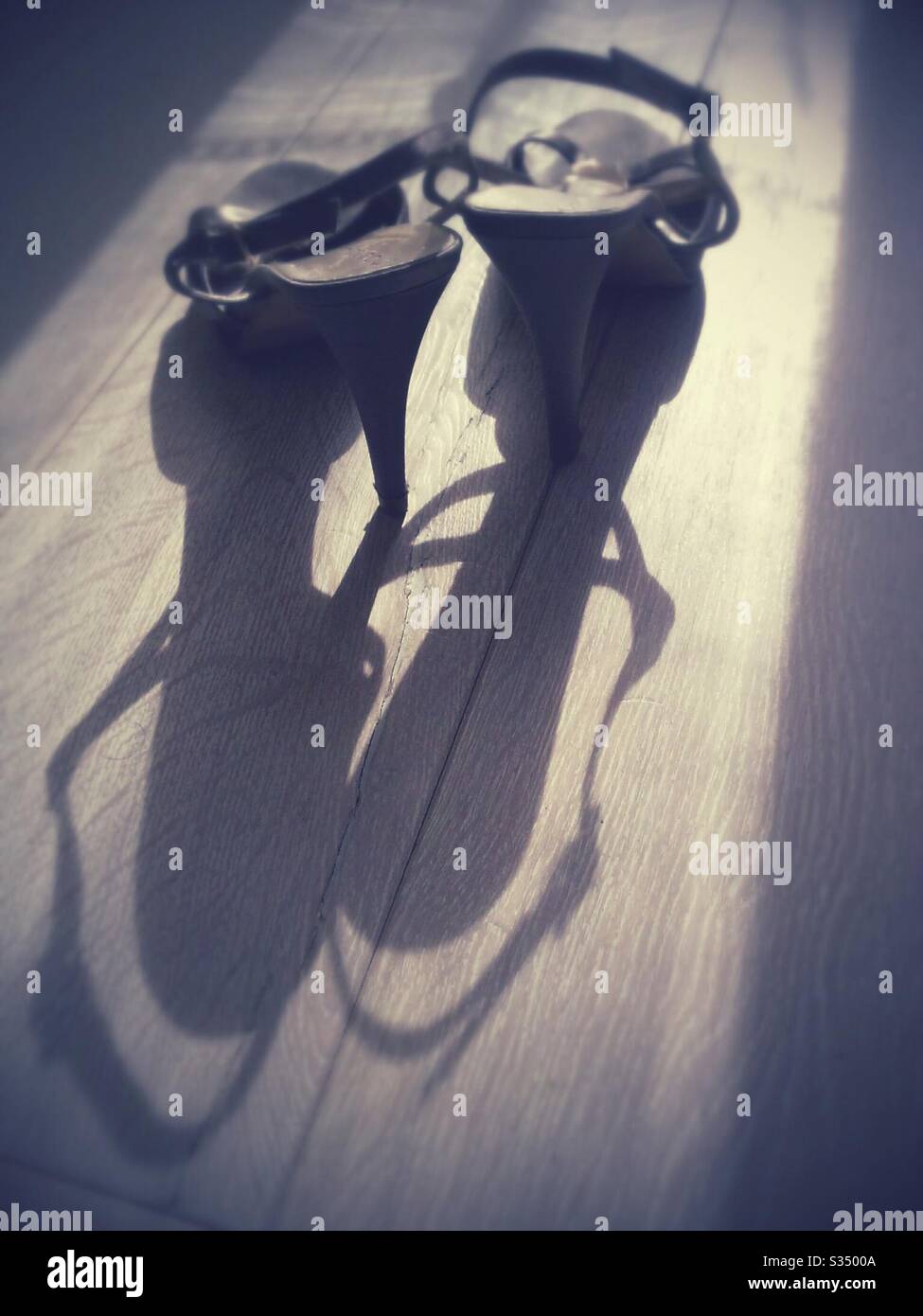 Woman’s High Heel Shoe - Smartphone Captured Stock Image