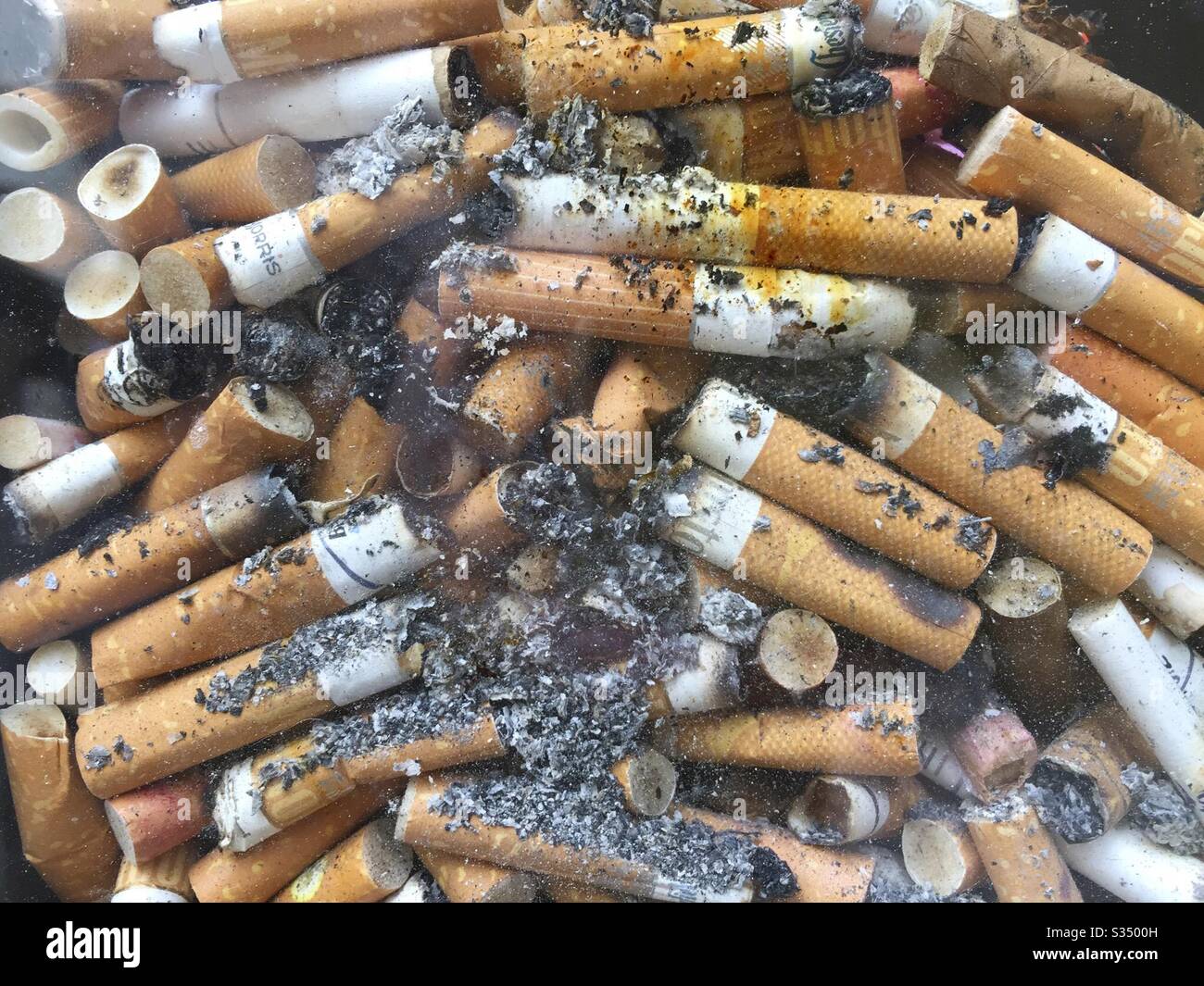 Discarded Cigarette Butts in a Transparent Pavement Bin - Smartphone Captured Stock Image