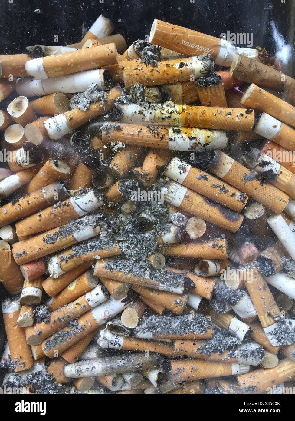 Discarded Cigarette Butts in a Transparent Pavement Bin - Smartphone Captured Stock Image