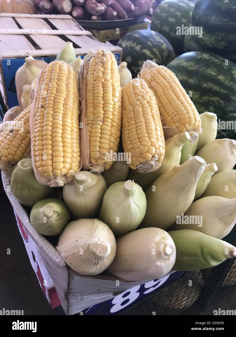 Fresh corn from the market - Smartphone Captured Stock Image