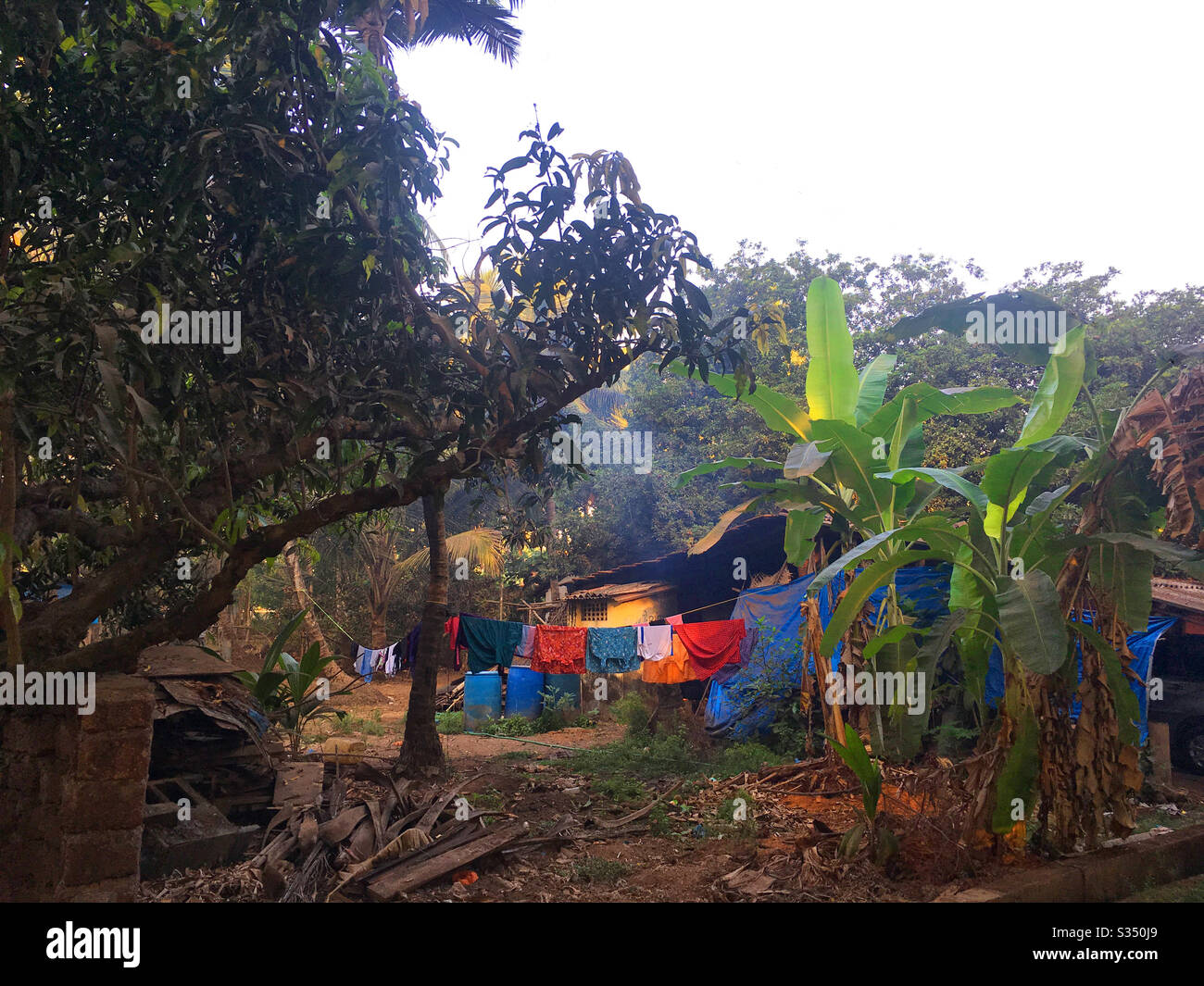 A village scene in the early morning hours in Goa, India Stock Photo