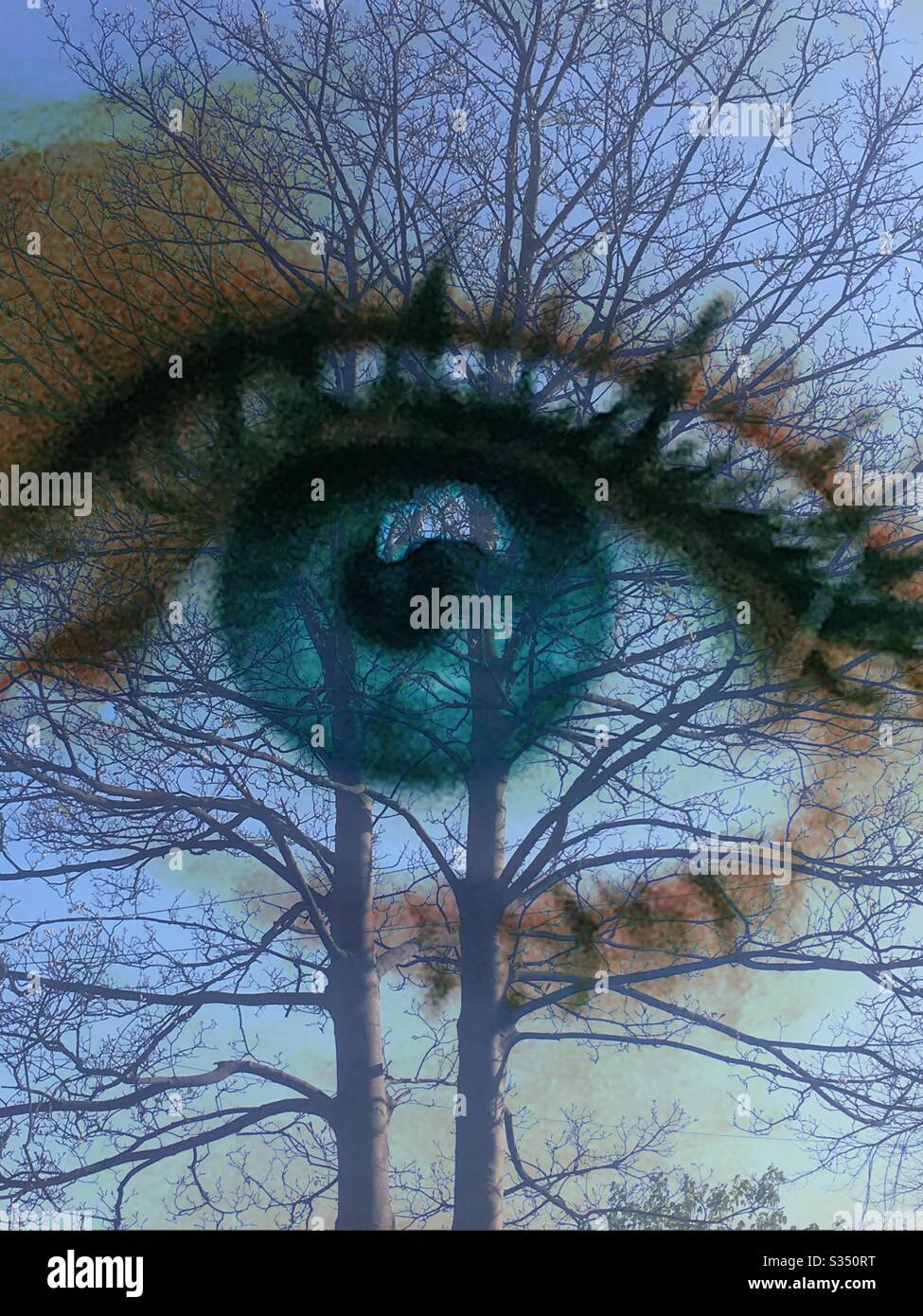 Looking outside, double exposure of an eye and trees. Coronavirus lockdown 2020. - Smartphone Captured Stock Image