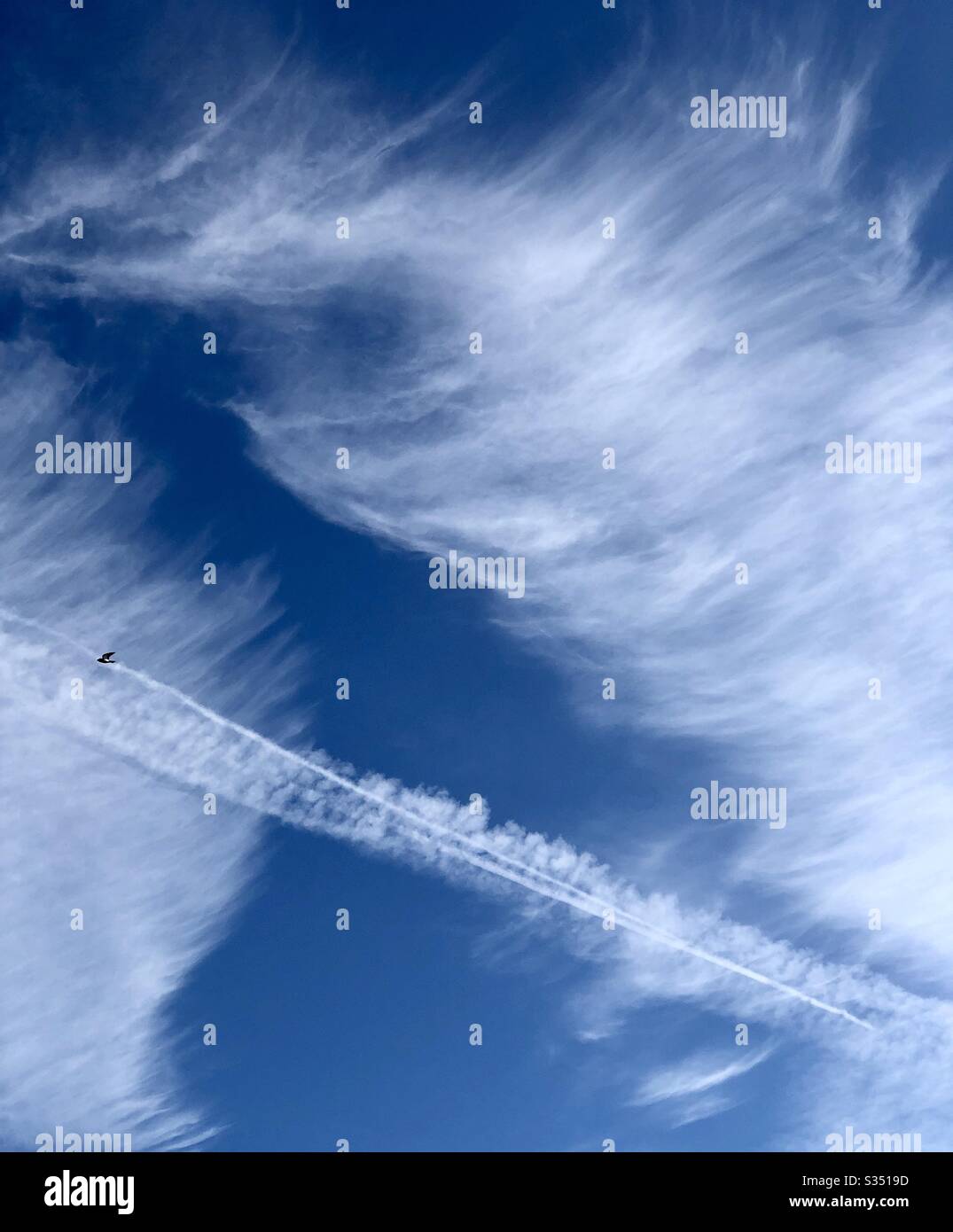 Blue sky, white clouds, strange formations, swirls, lines, natural, unnatural, copy space Stock Photo