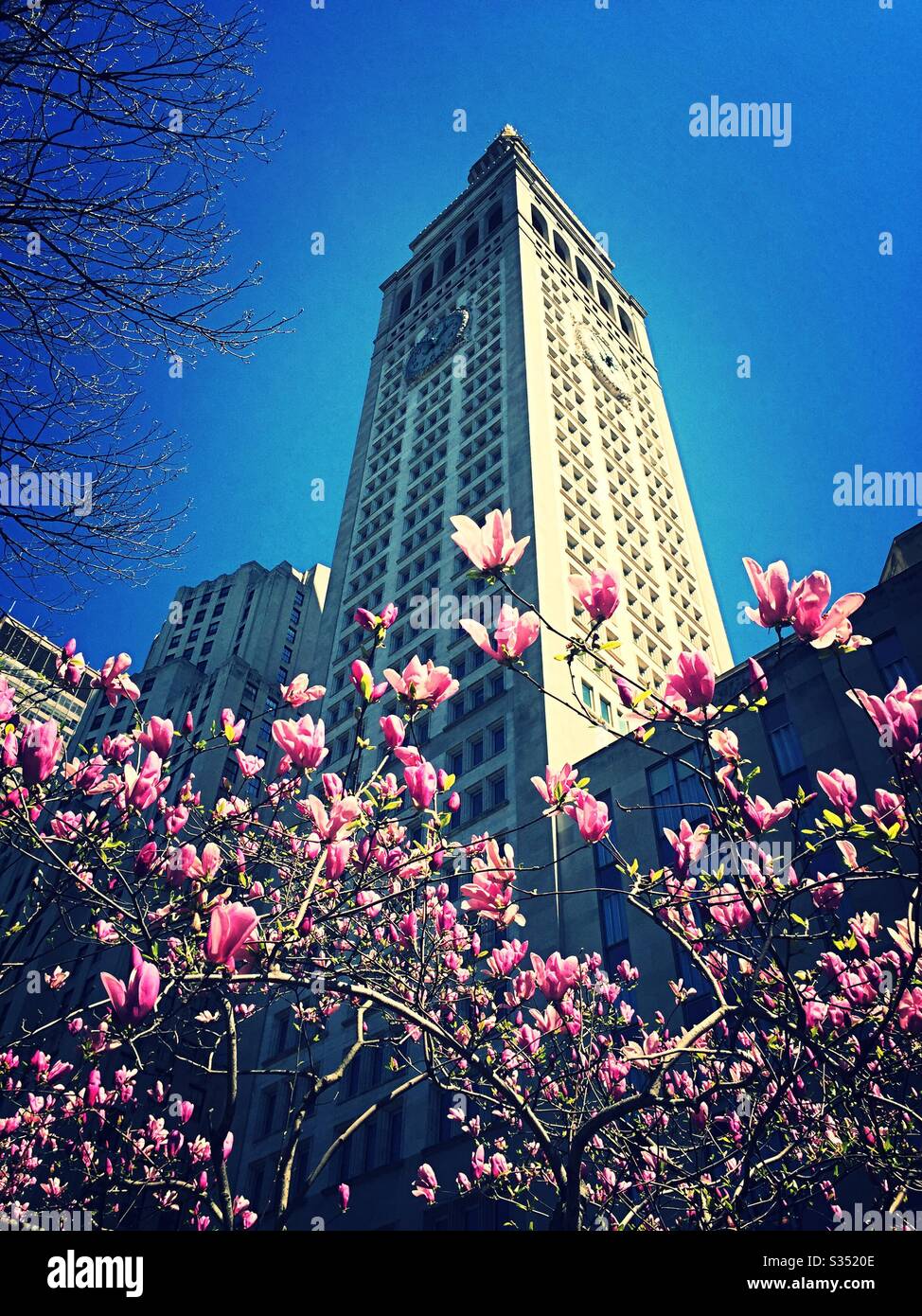 MetLife tower at 1 Madison Ave. as seen from Madison Square, Park amid