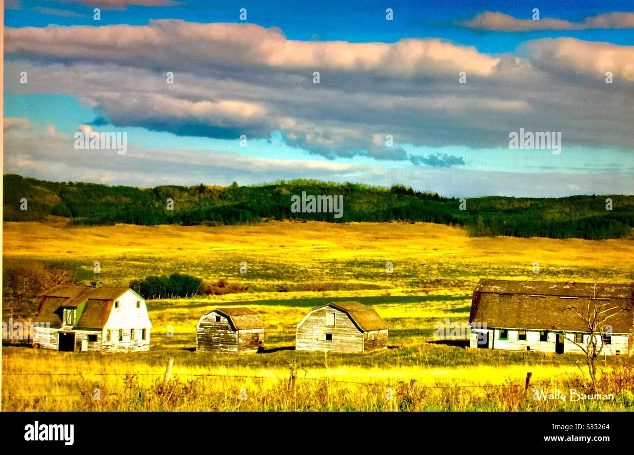 Old farmyard barns, agriculture, country life, wooden, structures,  Alberta, Canada, mountains, foothills, Calgary ,grain field , four barns , - Smartphone Captured Stock Image