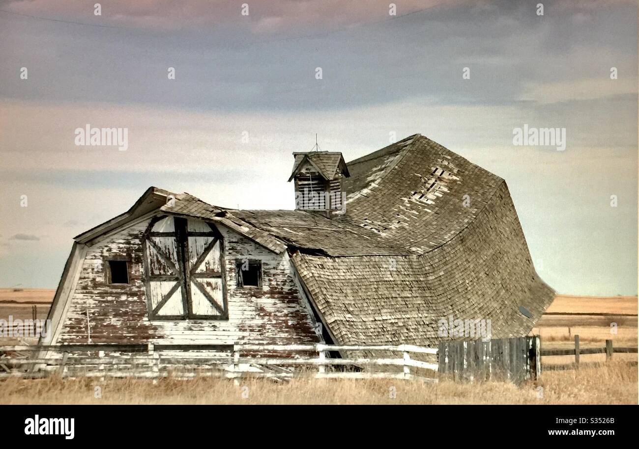 Old farmyard barns, agriculture, country life, wooden, structures,  Alberta, Canada, sagging,collapsing, swayback,pole fence - Smartphone Captured Stock Image