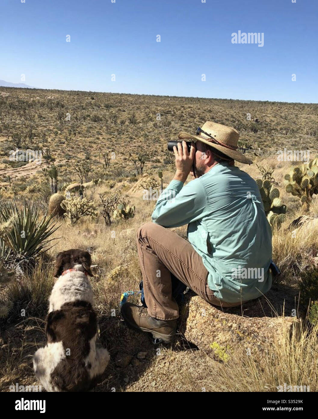 Scouting for deer in the Mojave preserves cima dome Stock Photo