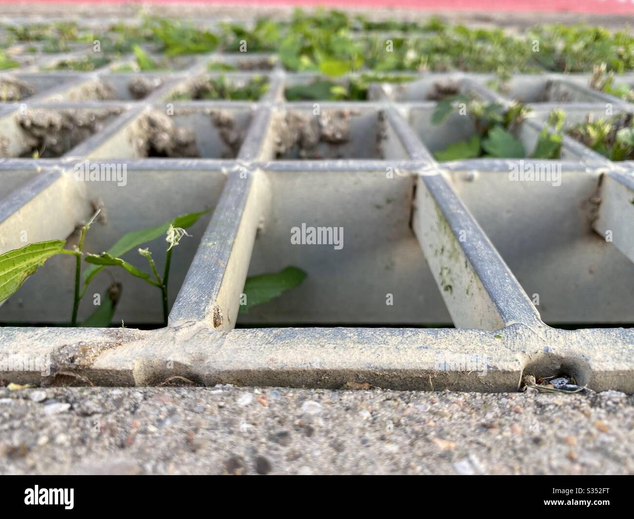 Ground perspective of drainage grate with leaves flowing over the top during early evening. Stock Photo