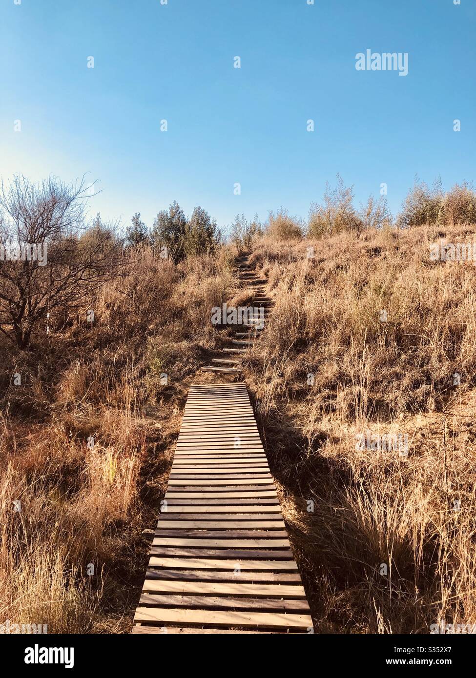 Follow your path hi-res stock photography and images - Alamy