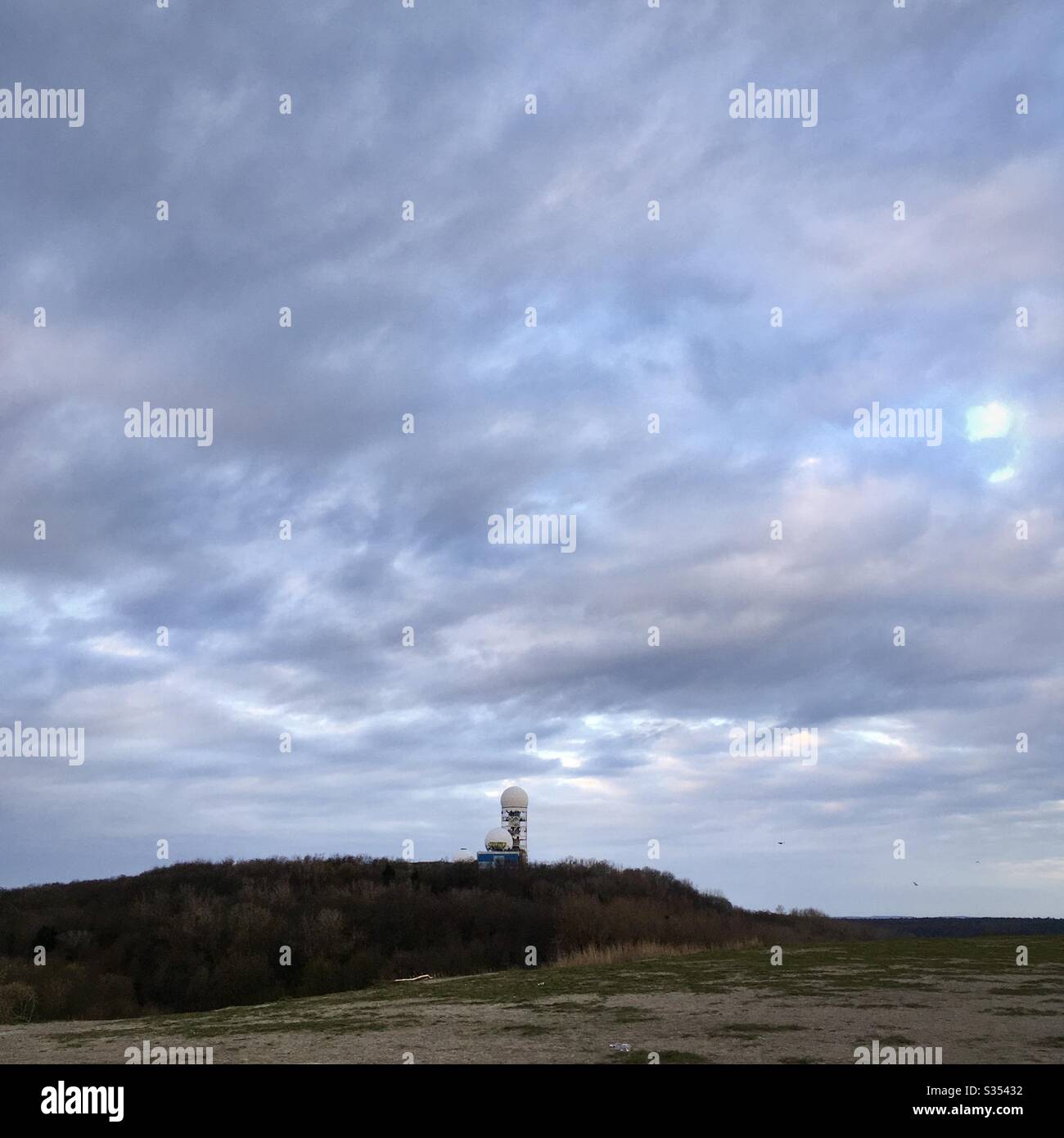 Berlins grunewald forest hi-res stock photography and images - Alamy