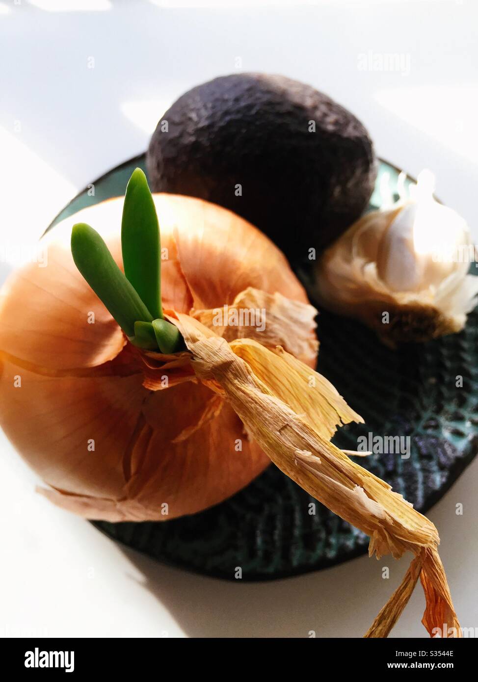 Sprouting onion, avocado and garlic sit on a plate on a residential kitchen counter - Smartphone Captured Stock Image