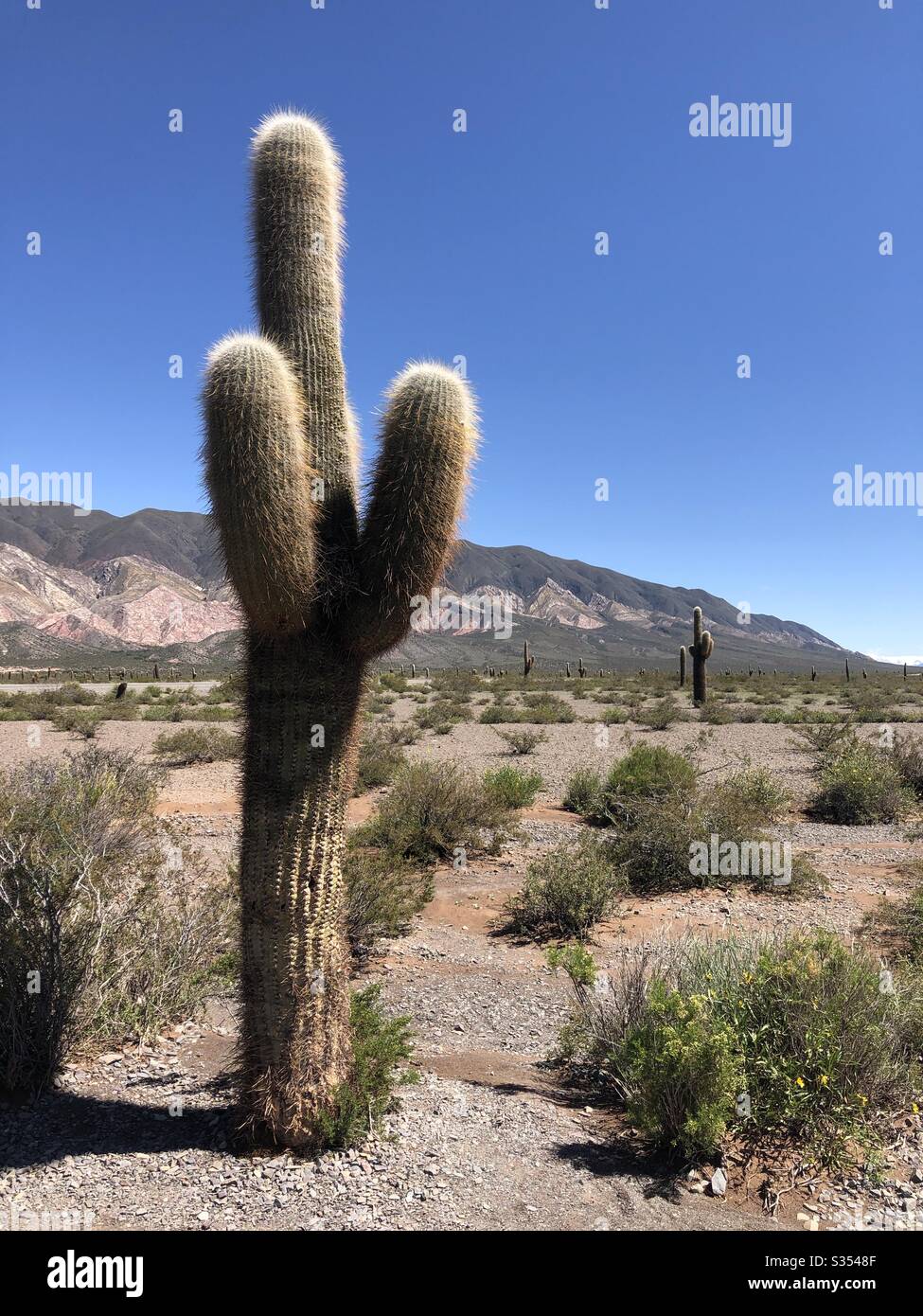 The arid landscape of Jujuy Province in Northern Argentina. - Smartphone Captured Stock Image