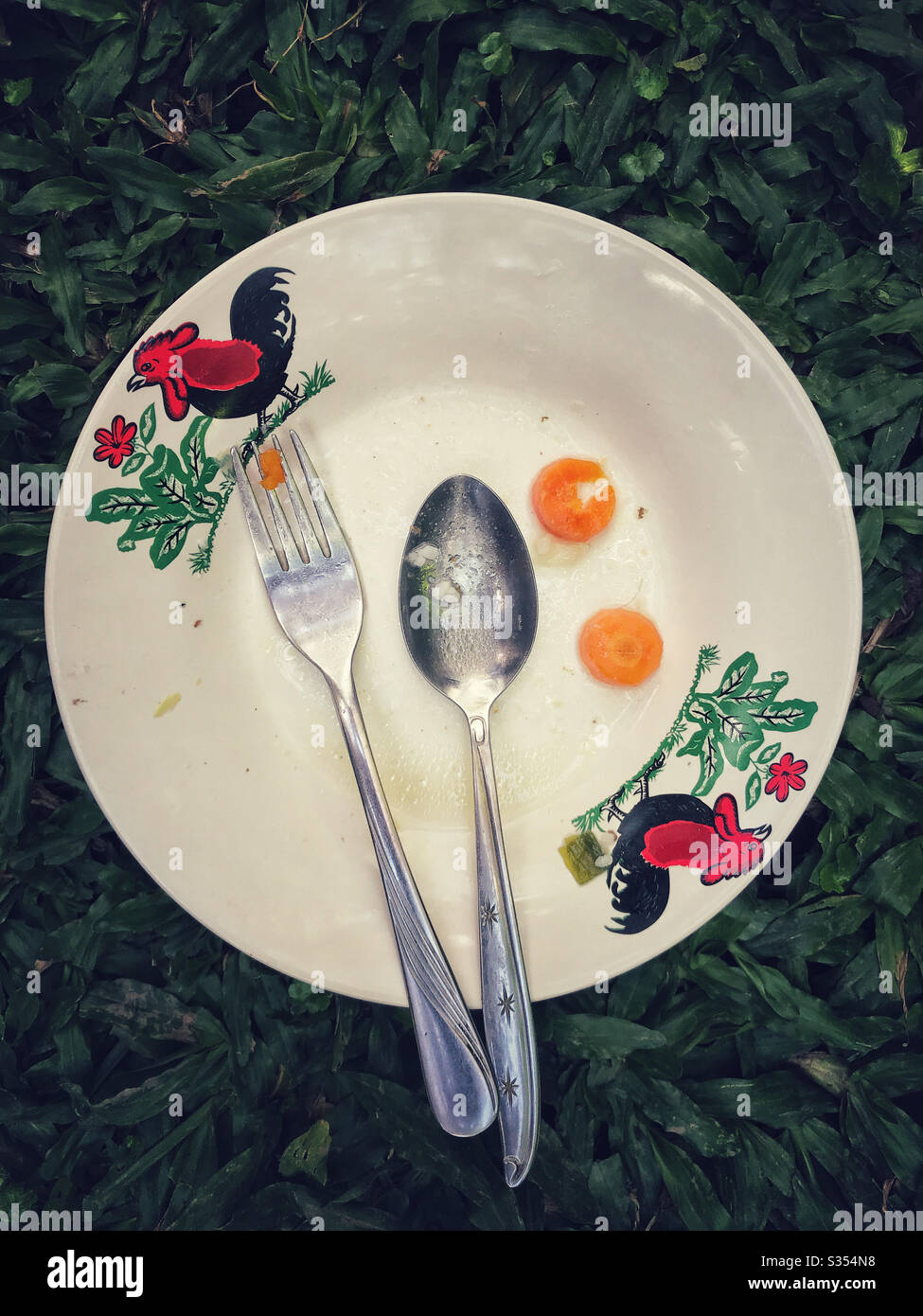 Empty plate after lunch Stock Photo Alamy