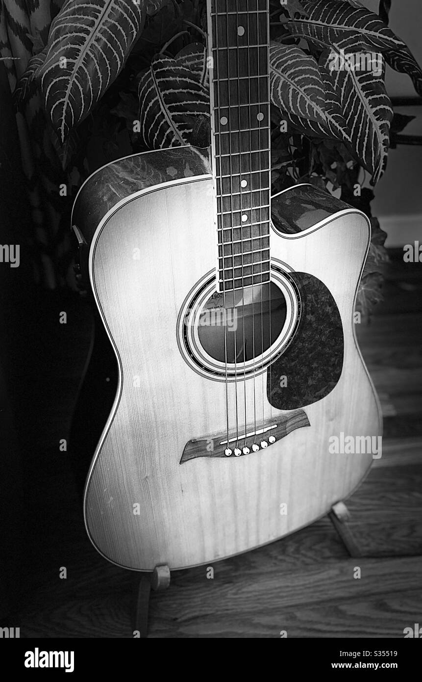 Guitar in stand. Stock Photo