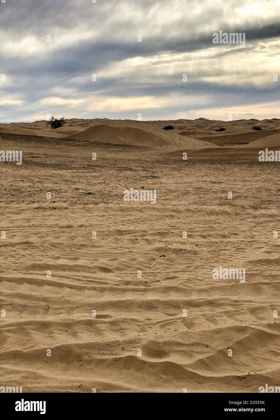 Sand dunes, four off road vehicles, barely seen, fun times, activity, groups, togetherness, outdoors, tracks in sand, textures, neutral colors, cloudy sky, late afternoon, nature, natural, copy space Stock Photo