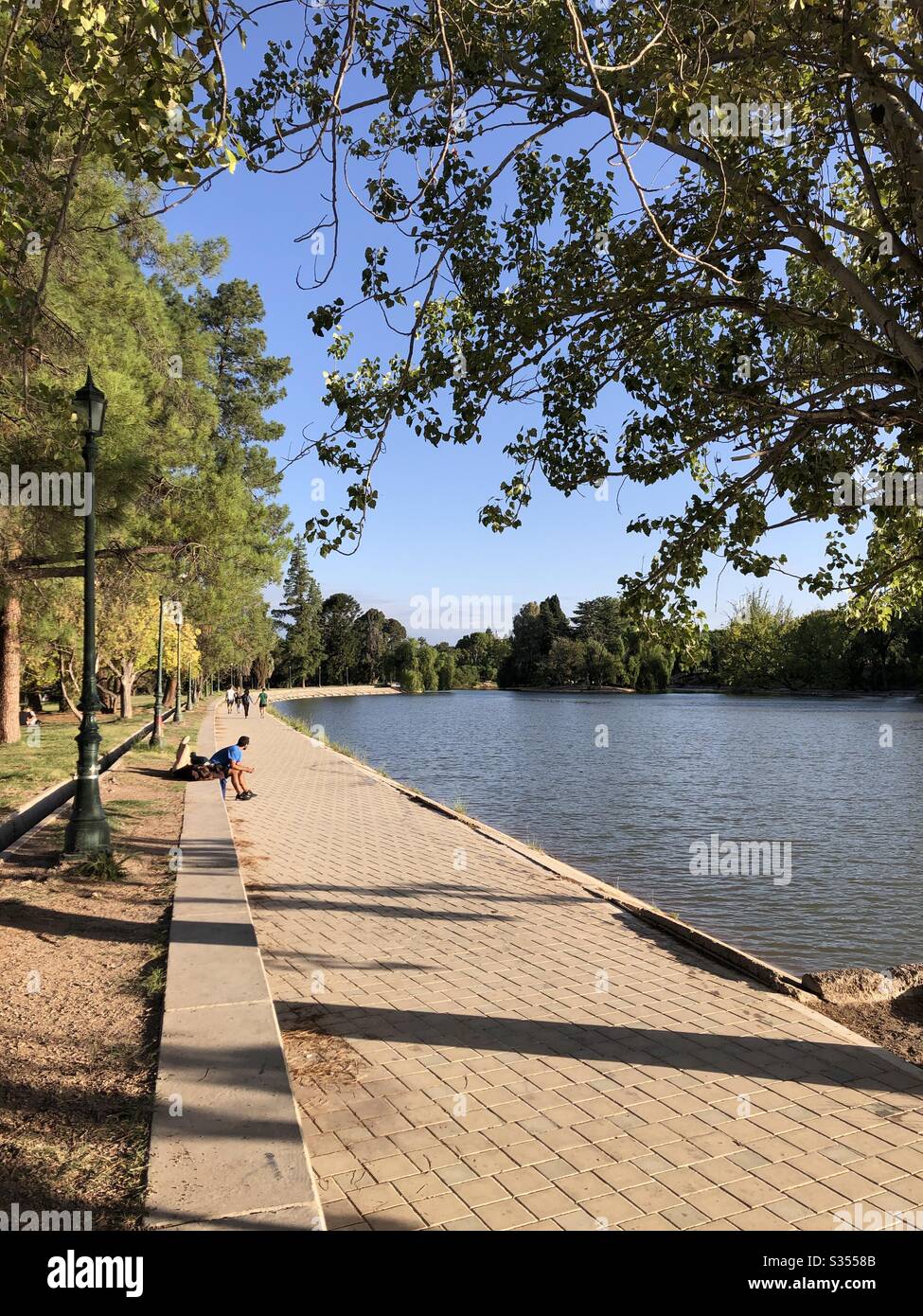 A sunny summer day in a park in Mendoza, Argentina. - Smartphone Captured Stock Image
