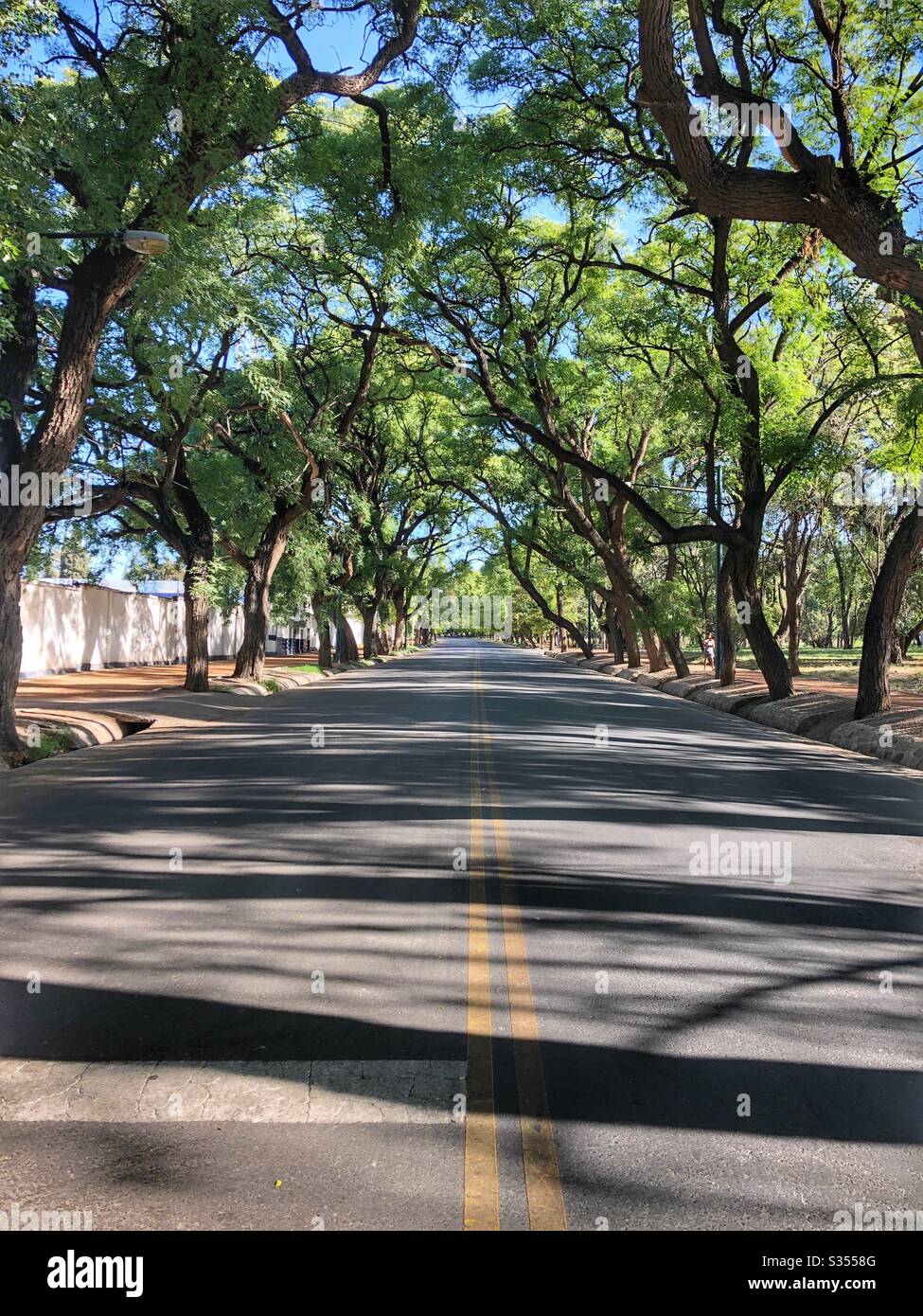 An empty road through a city park in Mendoza, Argentina during quarantine 2020. - Smartphone Captured Stock Image