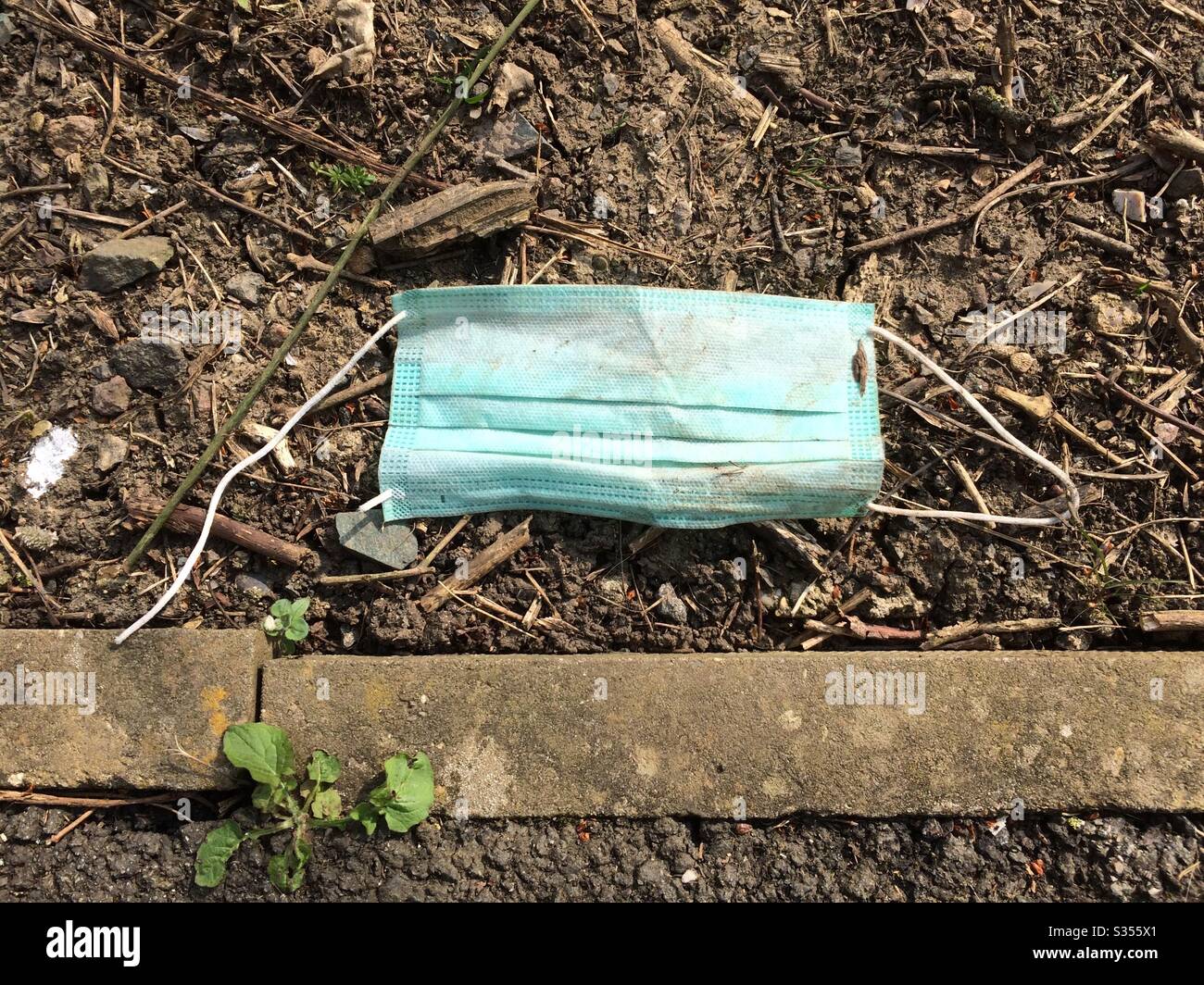 Discarded disposable surgical face mask, laying beside a public footpath. A new environmental pollution. - Smartphone Captured Stock Image