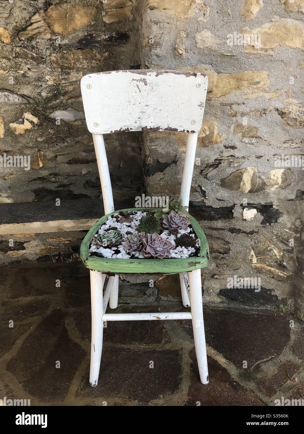 Garden chair with cacti - Smartphone Captured Stock Image