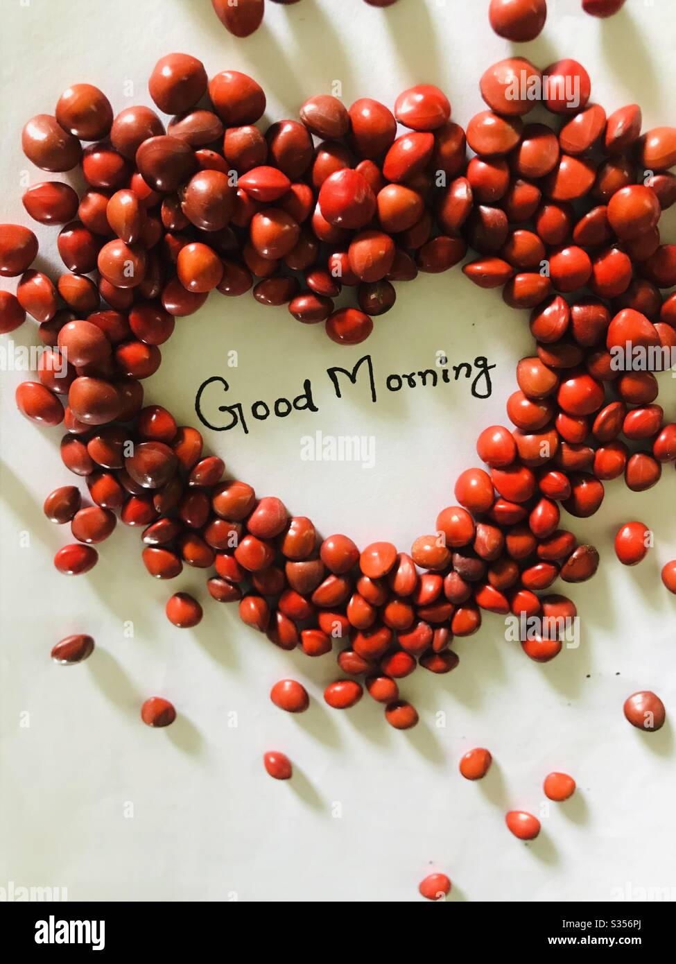 Adenanthera red beads in shape of heart with words Good Morning hand written, with white surface background. Morning message for friends,Manjadikuru in malayalam, dramatic look with natural sun shades Stock Photo